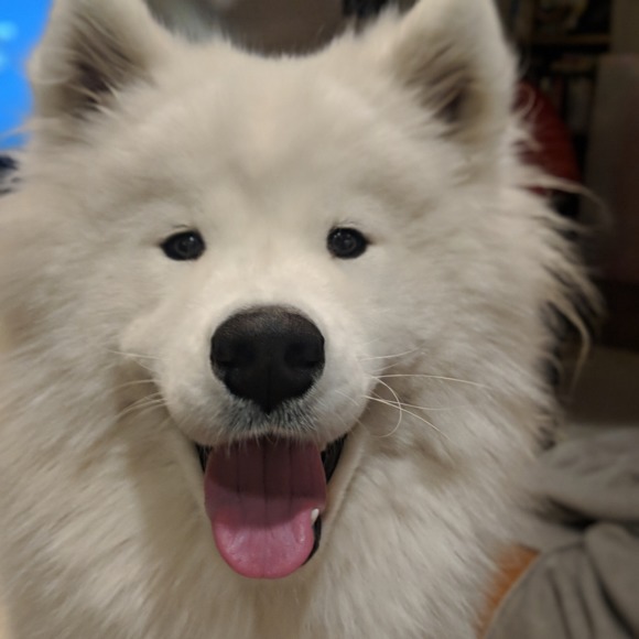 Meet your Posher, Debbie - Picture 1 of 1